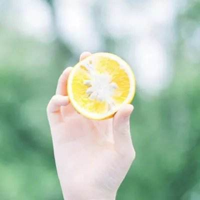 方舟生存进化仙境中文版下载