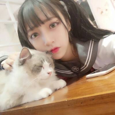 金属狂潮大吃鸡破解版下载